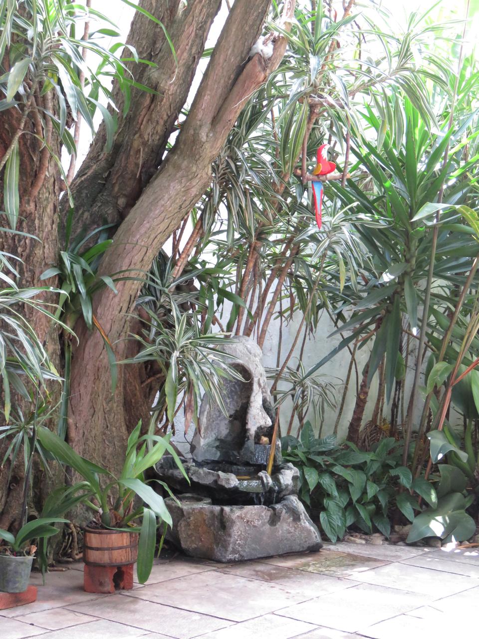 Jardim interno com fonte